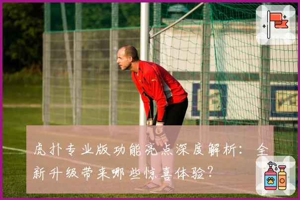 虎扑专业版功能亮点深度解析：全新升级带来哪些惊喜体验？