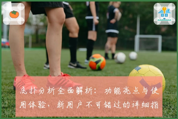 虎扑分析全面解析:功能亮点与使用体验,新用户不可错过的详细指南