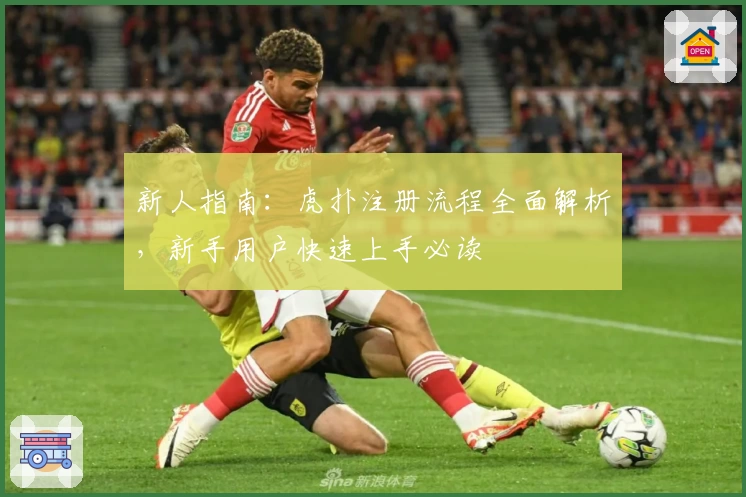 新人指南：虎扑注册流程全面解析，新手用户快速上手必读