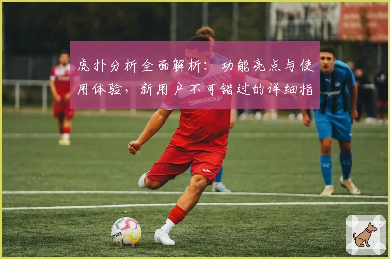 虎扑分析全面解析:功能亮点与使用体验,新用户不可错过的详细指南