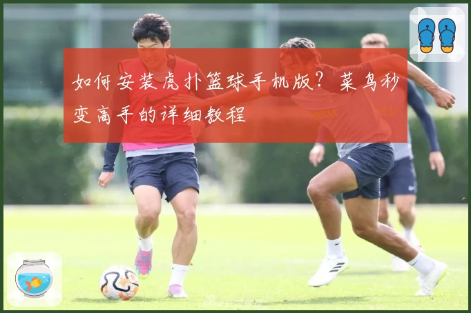 如何安装虎扑篮球手机版？菜鸟秒变高手的详细教程